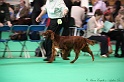 Crufts2011 037